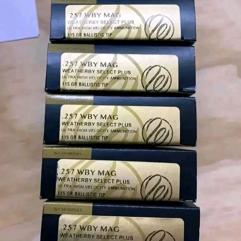 Buy Ammunition Online in Canada